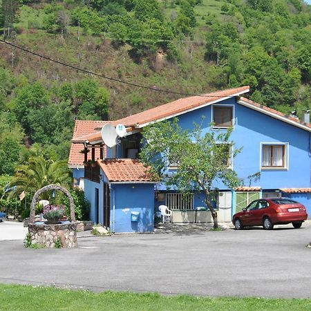 Hotel Avelina กังกัส เด โอนิส ภายนอก รูปภาพ